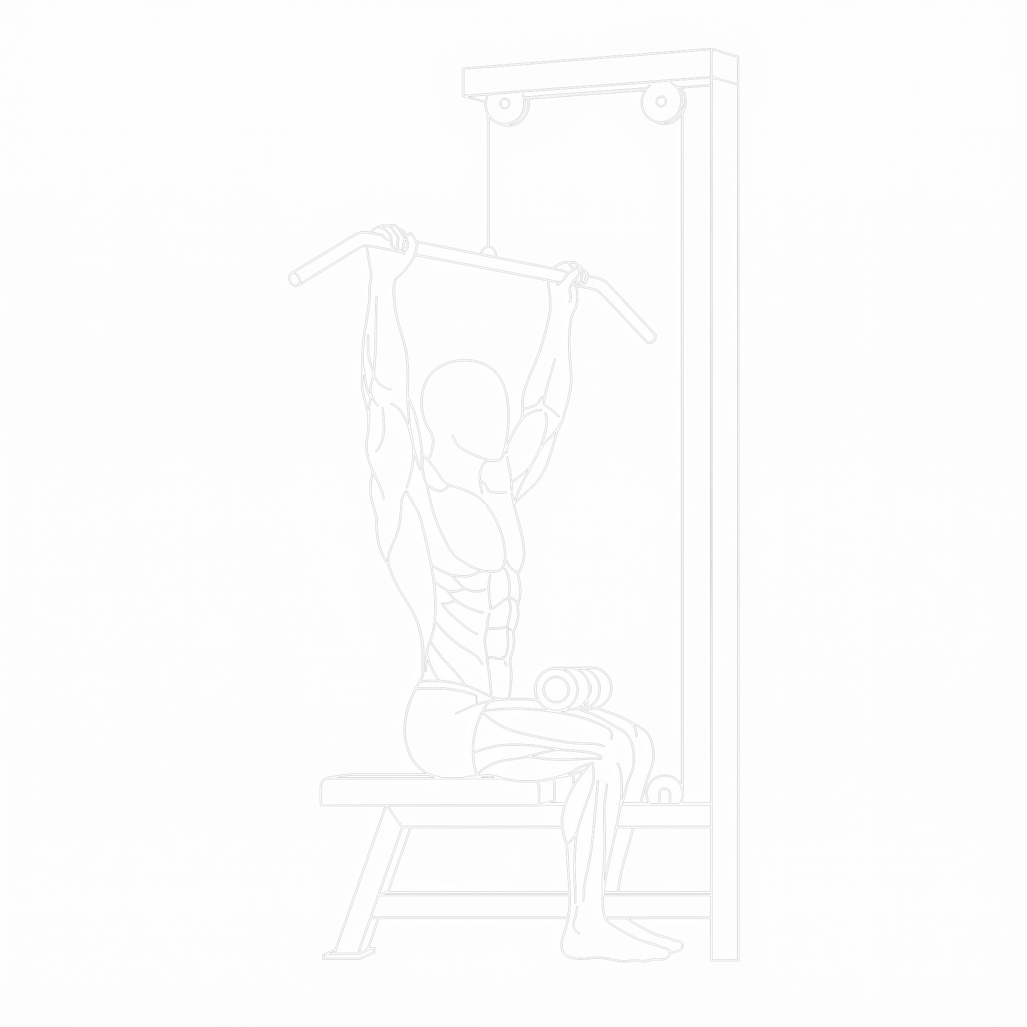 Lat Pulldown
